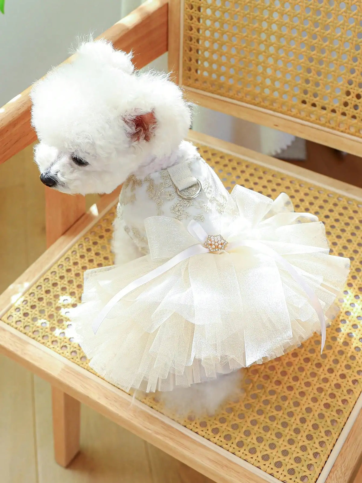 Luxury Pet Princess Wedding Dress by I YAN with gold embroidery, pearl bow, and built-in D-ring for cats and dogs.