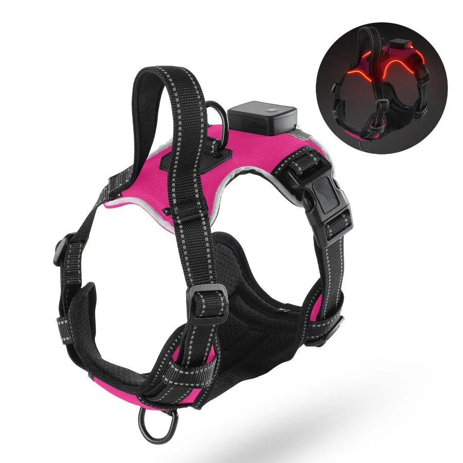 Rechargeable Light Up Dog Harness by I YAN, no pull LED harness with adjustable glow vest for small dogs during night walks.