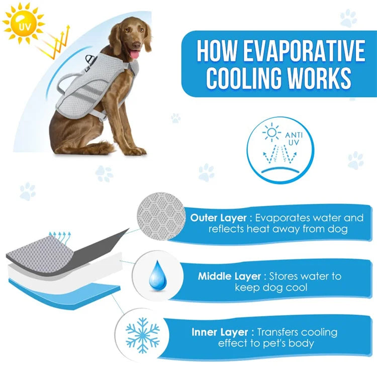 Breathable I YAN dog cooling vest harness with ice pack pocket, reflective jacket for medium and large dogs, shown on a dog.