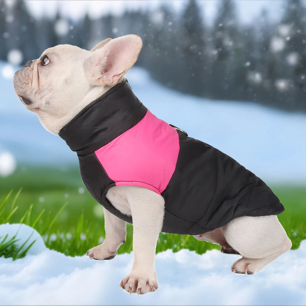 I YAN pet dog jacket for small and large dogs, waterproof winter coat with D-ring, windproof, warm puppy vest for Labrador and Pug