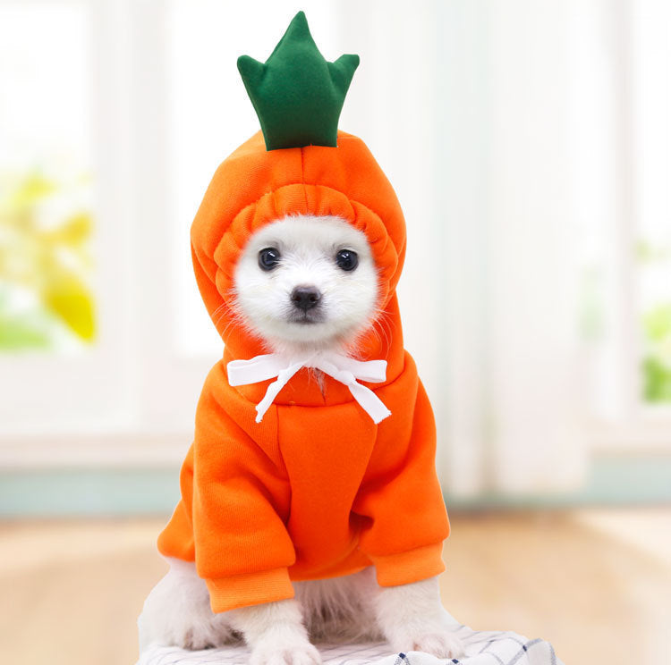 Cute fruit-themed fleece hoodie for small dogs and puppies, featuring colorful fruit print and cozy winter warmth.