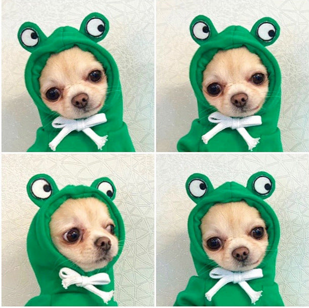 Cute fruit-themed fleece hoodie for small dogs and puppies, featuring colorful fruit patterns and cozy winter warmth.