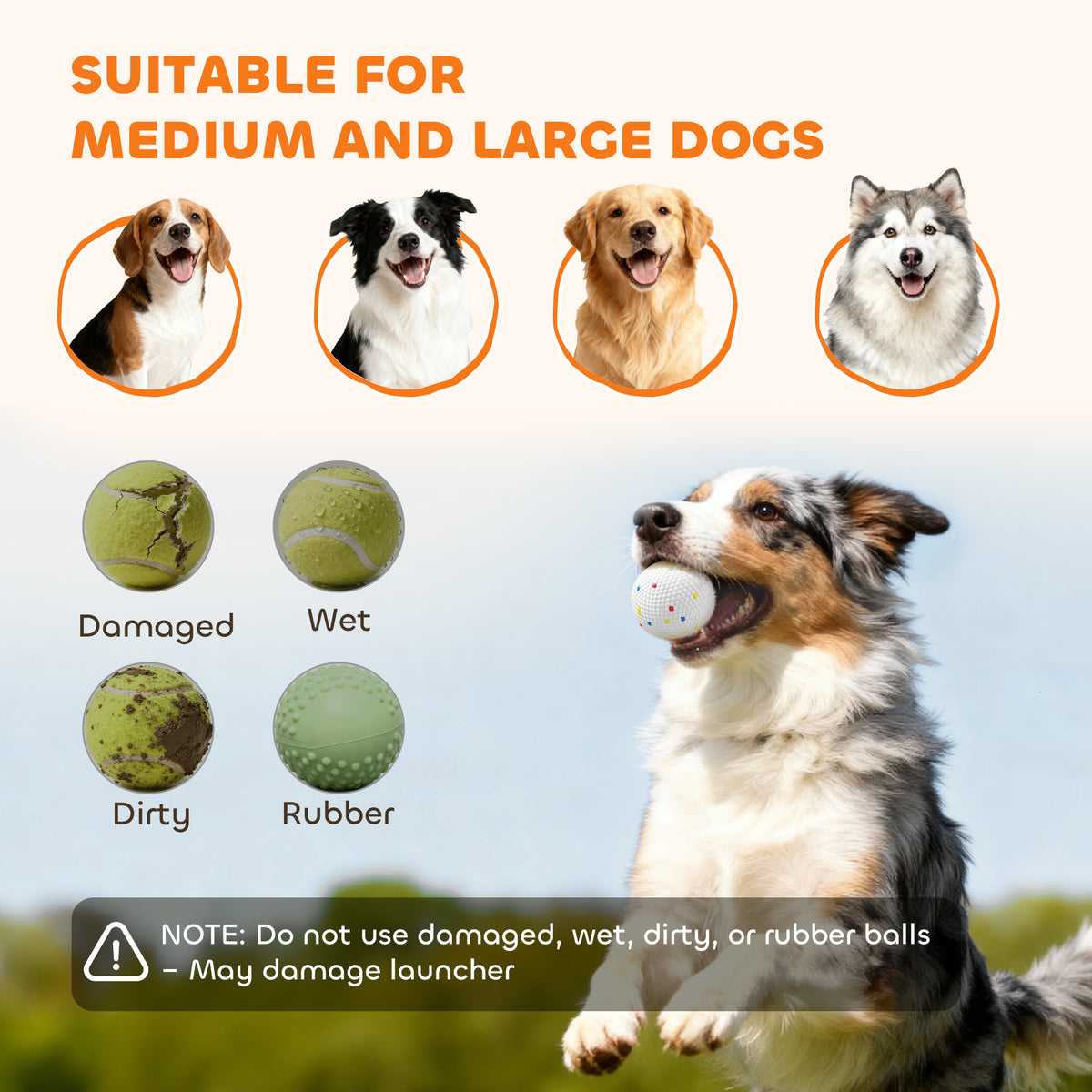 Automatic dog ball launcher by I YAN with 26–80 ft range, shown with a tennis ball for medium and large dogs.