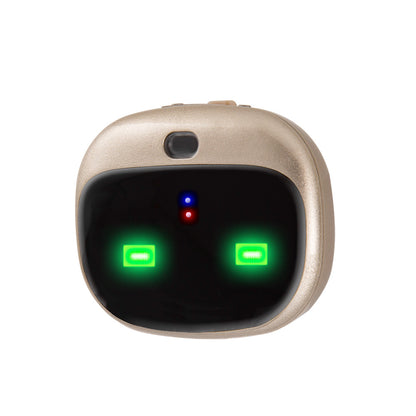 Waterproof I YAN GPS pet locator dog collar with real-time tracking and lightweight design, shown on a small dog.