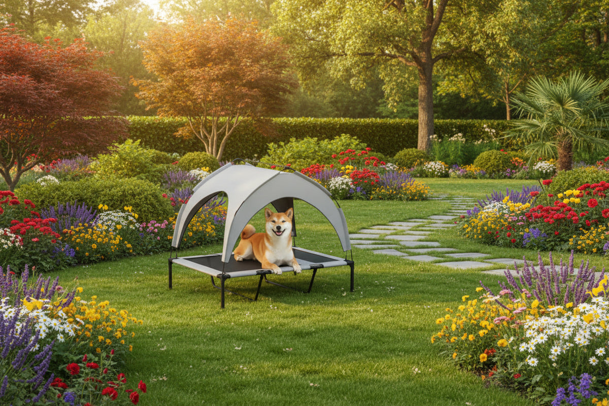 Elevated I YAN dog bed with canopy, raised outdoor pet cot for large dogs, featuring durable frame and shaded sleeping area.