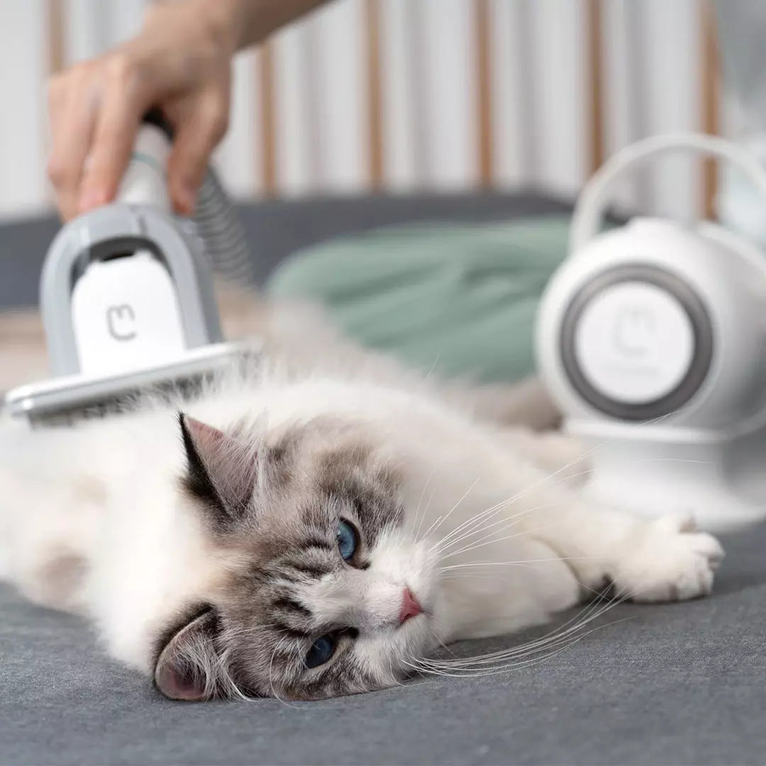 I YAN G2 Pet Grooming Kit with hair vacuum, smart clipping and suction system, showing grooming tools and device in use.