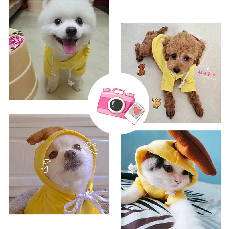 French Bulldog wearing I YAN cute fruit-themed hoodie with warm fleece, perfect for small dogs in winter.