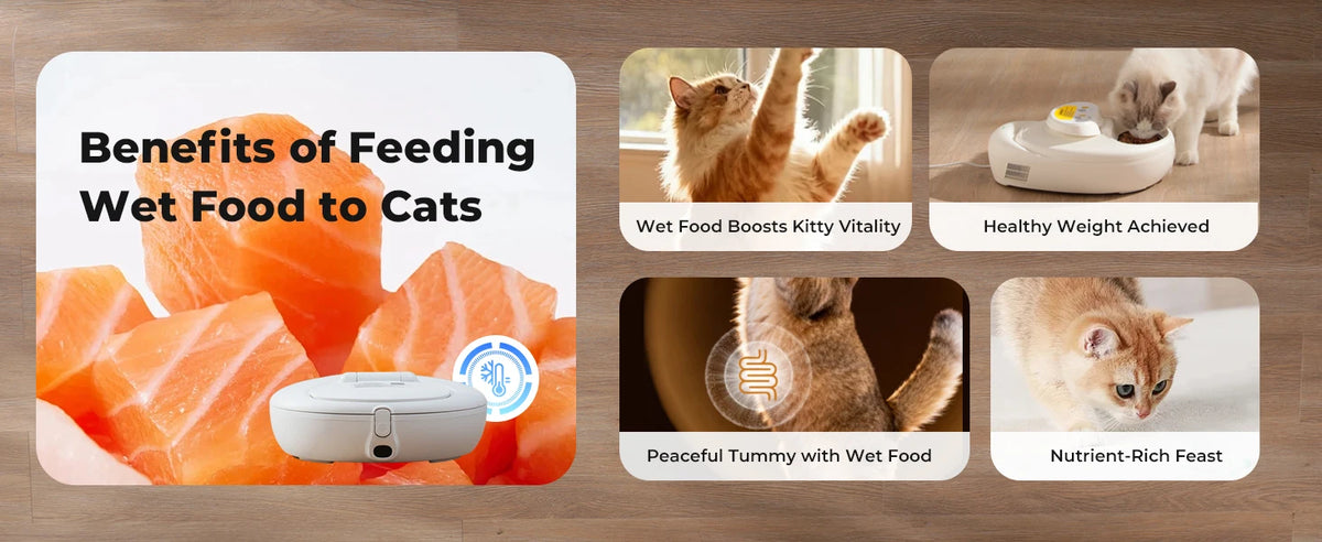 Robotail Smart Automatic Cat Feeder by I YAN with refrigerated and heated wet food dispenser, app-controlled feeding system.