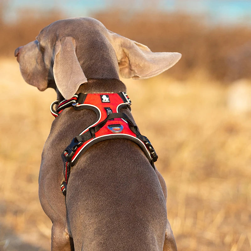 Reflective nylon dog harness by I YAN, adjustable no-pull vest for medium to large dogs, ideal for walking and safety.
