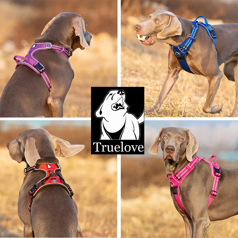 Reflective nylon dog harness by I YAN, adjustable no-pull vest for medium to large dogs, suitable for walking and running.