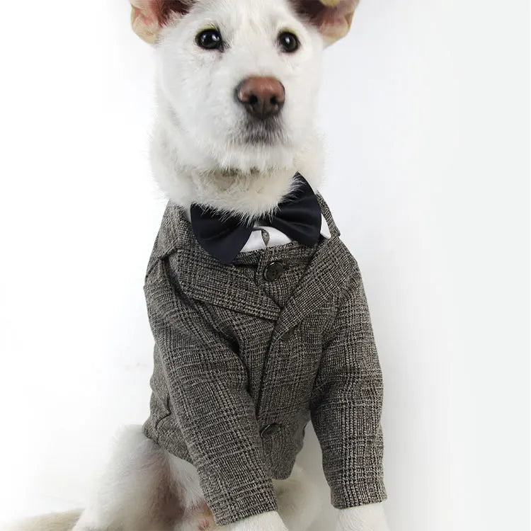 WANGUPET Sack Suit Woollen Coat and Vest Dog Clothes Wedding Party Suits For Small Dogs and Cat Pet Clothes Dog Coat Pet Costume