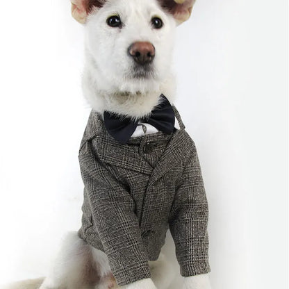 WANGUPET Sack Suit Woollen Coat and Vest Dog Clothes Wedding Party Suits For Small Dogs and Cat Pet Clothes Dog Coat Pet Costume