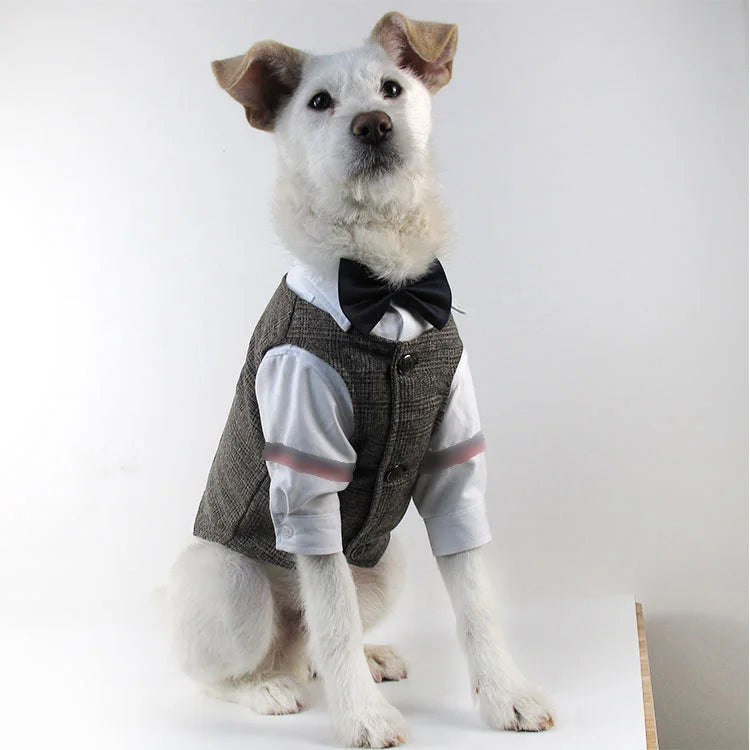 WANGUPET Sack Suit Woollen Coat and Vest Dog Clothes Wedding Party Suits For Small Dogs and Cat Pet Clothes Dog Coat Pet Costume