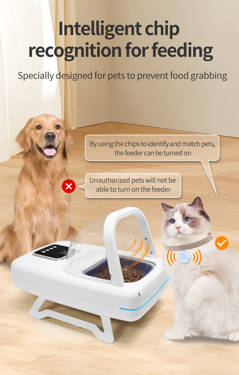 Smart Chip-Sensing Auto Pet Feeder – WiFi, Timed & Anti-Theft | Cats & Dogs