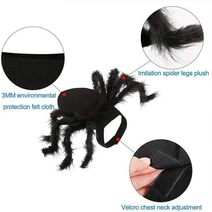 Halloween Spider Costume for Dogs & Cats – Spooky Pet Outfit