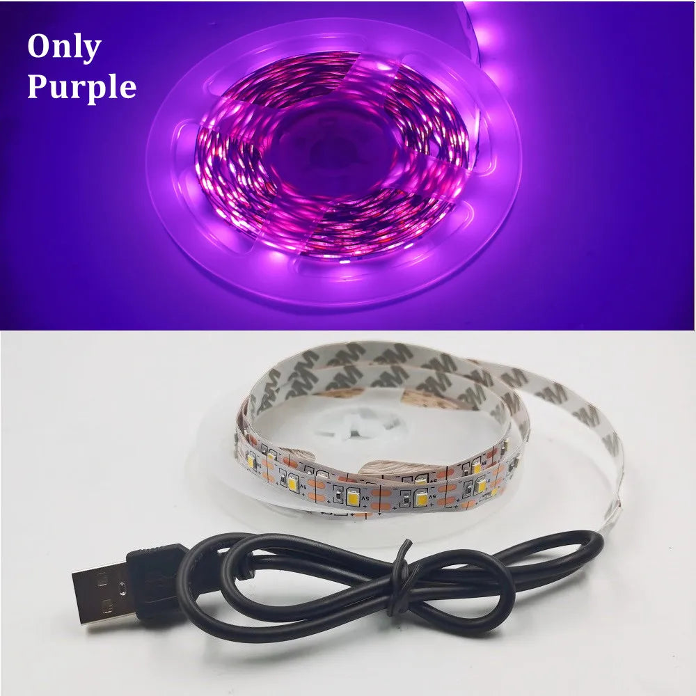 5M USB LED Strip Light 5V 3528 1 Meter 5 Meter Warm Cool White Pink Green Blue Red SMD Ribbon Ceiling Cabinet Light waterproof