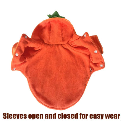 Pet Clothing, Pumpkin, Funny Clothing,  Cute Halloween Clothing, Dog Clothing