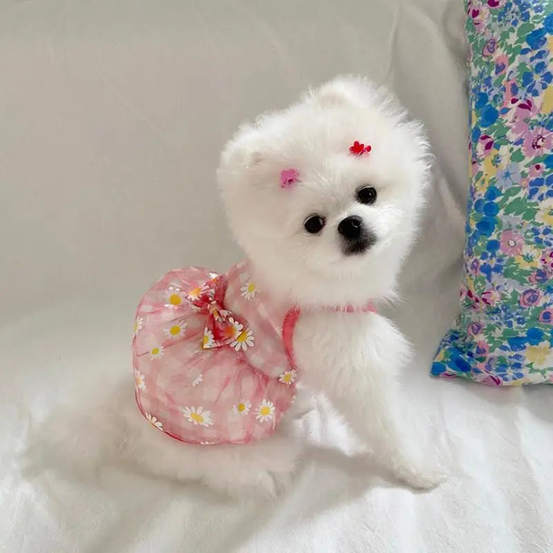 Breathable High-Value Dog Vest Summer Teddy Small Medium Dog Mesh Clothes Cool Feeling Functional Pet Clothing Daisy Pattern