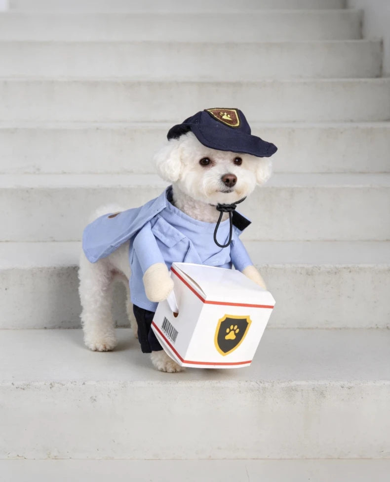 Cute I YAN pet dog transformation costume for small dogs, seasonal universal clothing, fashionable and adorable dog apparel.