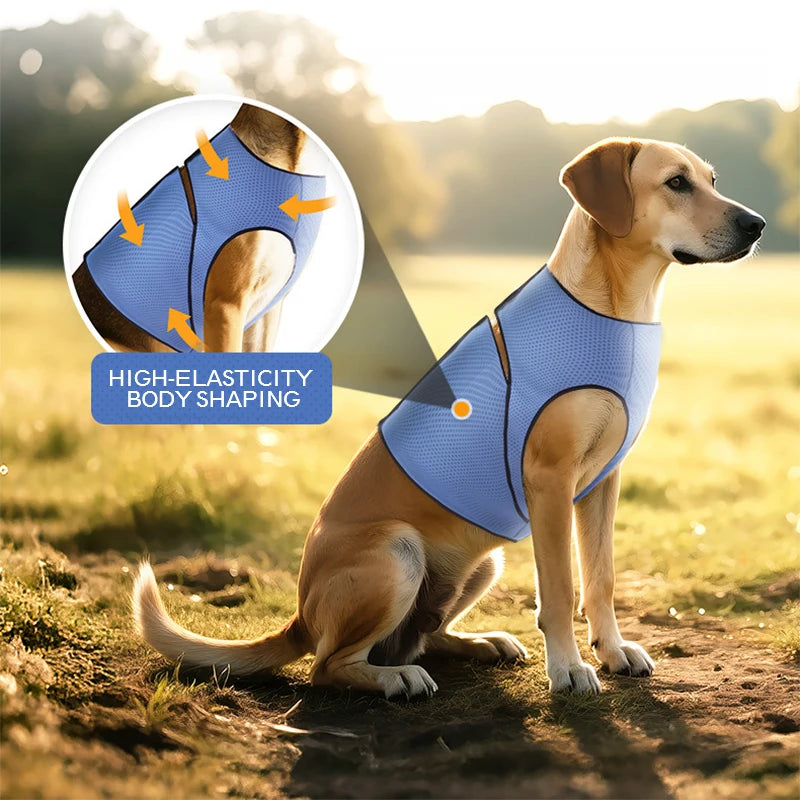 I YAN dog calming vest made of mesh, a skin-friendly anxiety relief coat for thunderstorms, summer, and calming support.