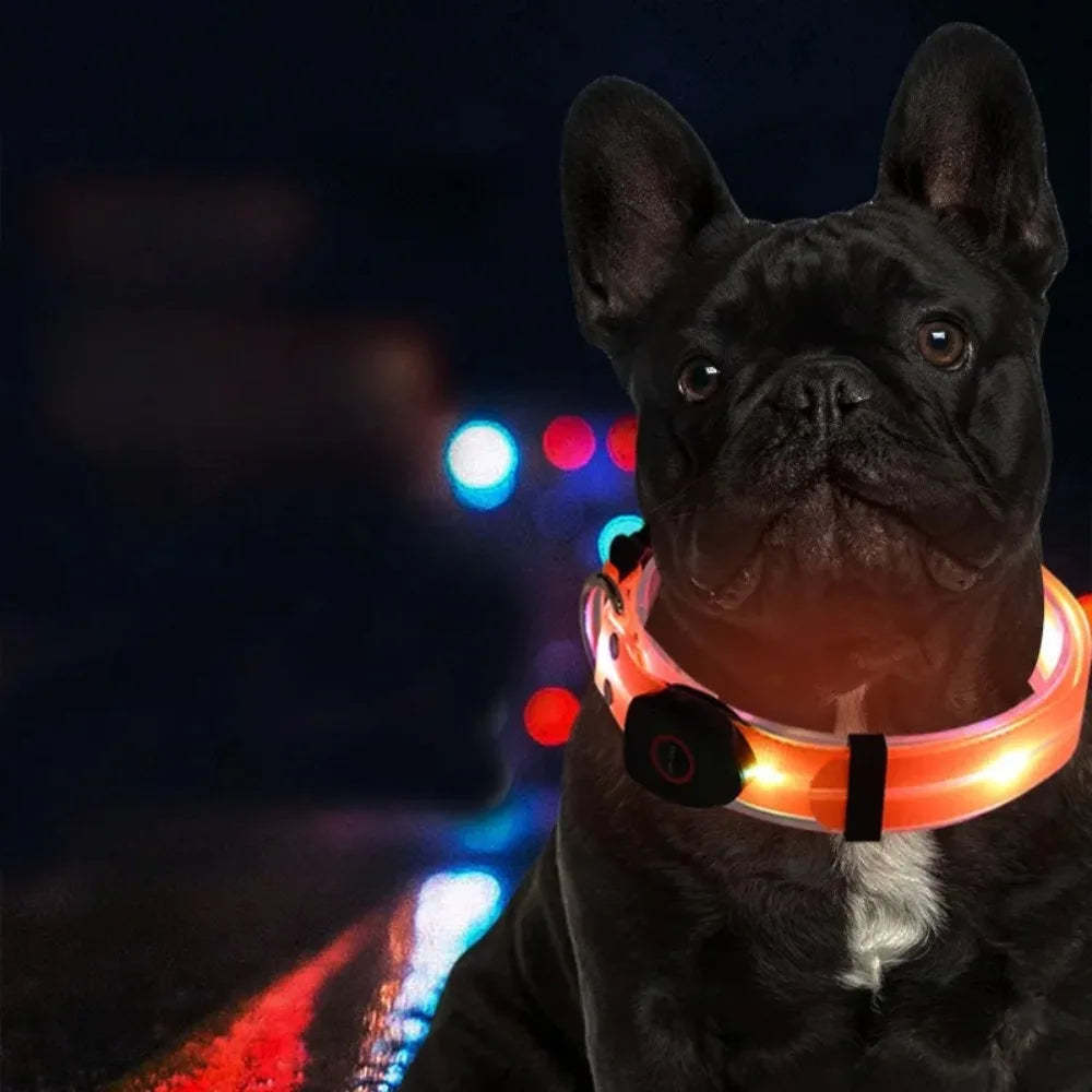 Rechargeable LED dog collar and leash set by I YAN with glow-in-the-dark safety features, visible in the image.