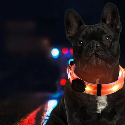 Rechargeable LED dog collar and leash set by I YAN with glow-in-the-dark safety features, visible in the image.
