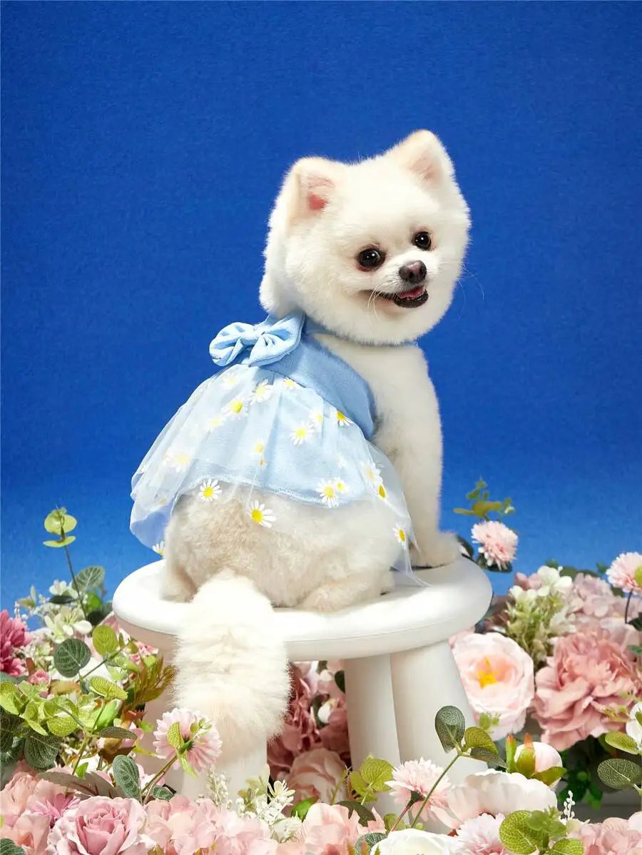 1pc Pink Daisy Tulle Skirt With Bowknot Pet Harness Dress, Suitable For Cats And Dogs