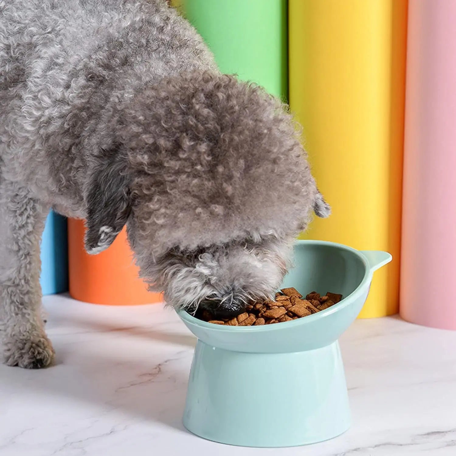 Tilted Whisker-Friendly Cat Bowl – Anti-Vomit, Shallow & Cute (Green)