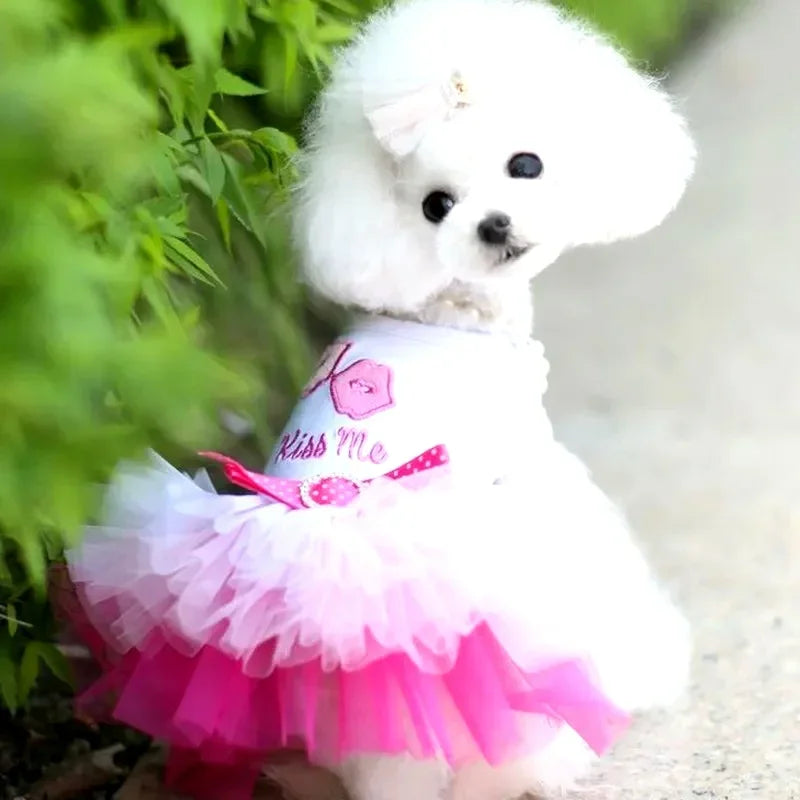 Spring dog lace dress for small pets by I YAN, featuring floral lace design, suitable for birthday, wedding, or party occasions.