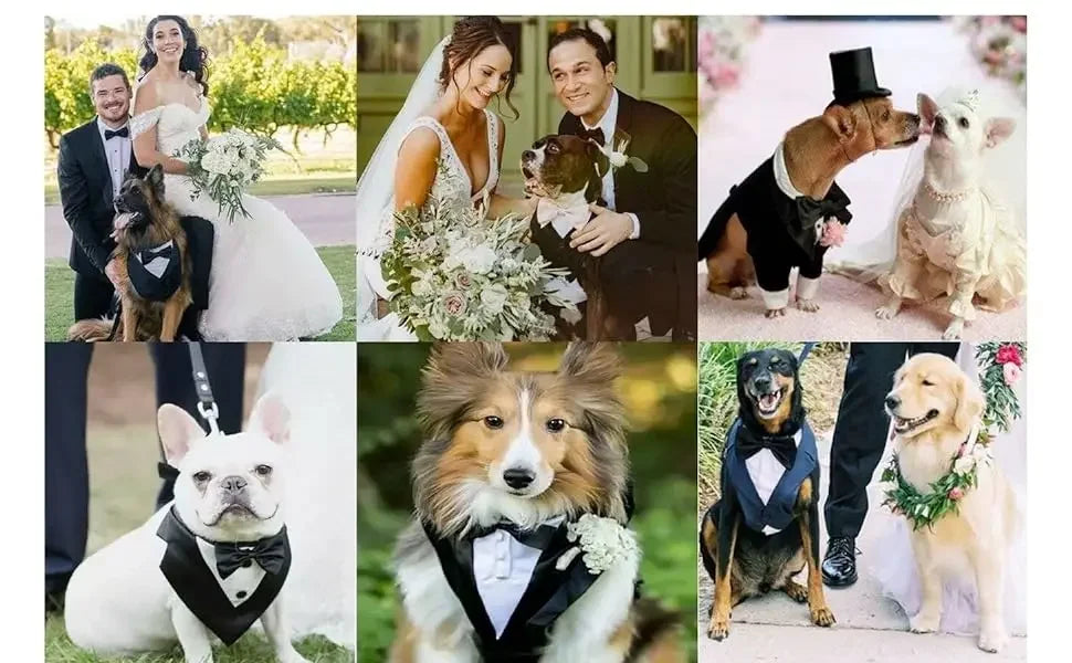 Cotton Large Dog Costume Detachable Two Pieces Dog Wedding Costume Black Dog Clothes Suit Dress Autumn Large Breeds Pet Products