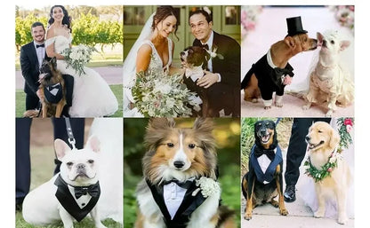 Cotton Large Dog Costume Detachable Two Pieces Dog Wedding Costume Black Dog Clothes Suit Dress Autumn Large Breeds Pet Products