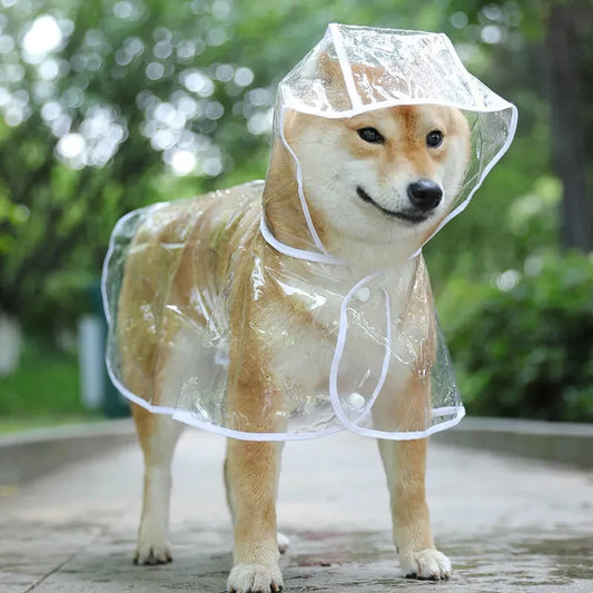 Pet dog puppy wearing I YAN transparent waterproof raincoat with hood, soft PVC small dog rain poncho in a rain-soaked setting.
