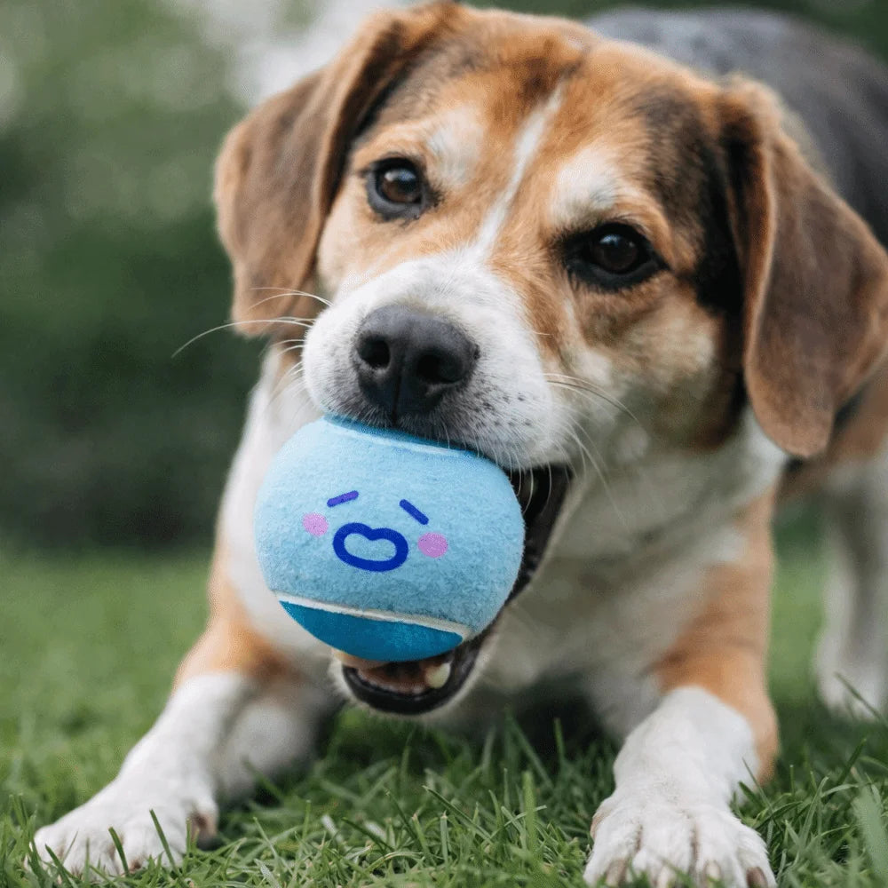 3 pieces Elastic Pet Tennis Ball Eco Friendly Color Blocked Dog Chew Toy Squeaky Sound Cartoon Pattern Pet Bouncy Ball Training