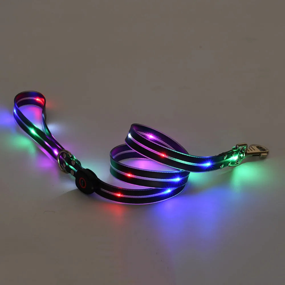 Rechargeable LED dog collar and leash set by I YAN, glow-in-the-dark safety accessory for nighttime outdoor walks.