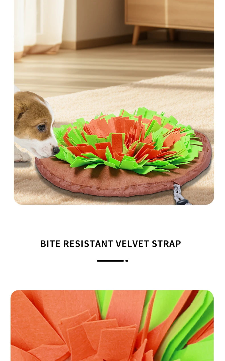 All-season I YAN dog sniffing mat with retractable packaging, designed to help train and enhance a dog's sense of smell.