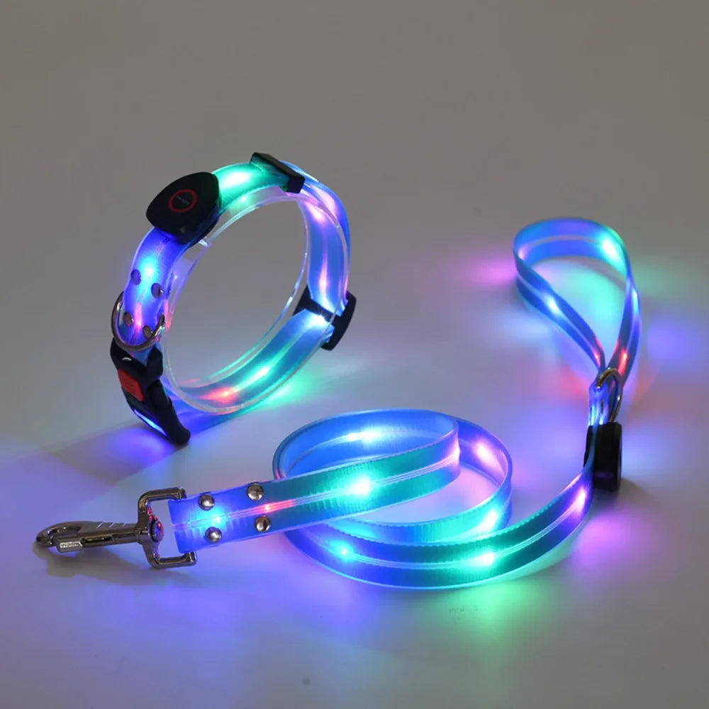 Rechargeable LED dog collar and leash set from I YAN with glow-in-the-dark safety features, shown in a close-up image.
