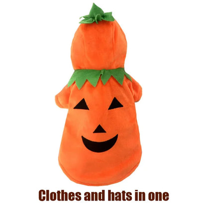 Pet Clothing, Pumpkin, Funny Clothing,  Cute Halloween Clothing, Dog Clothing