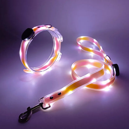 Rechargeable LED dog collar and leash set by I YAN with glow-in-the-dark safety features, shown in the image.
