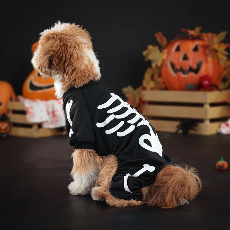 Halloween dog skeleton costume by I YAN featuring a spooky glow jumpsuit for dogs, with skeleton print and glowing details.