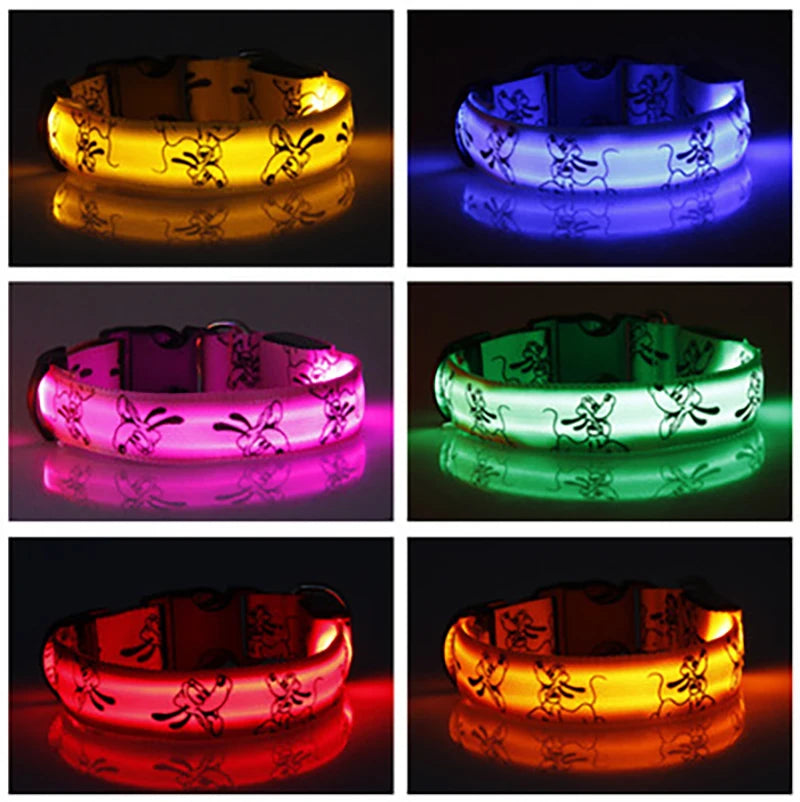 Bright LED dog collar by I YAN, glowing luminous nylon pet collar for nighttime safety and visibility.