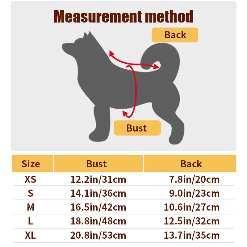 Pet Clothing, Pumpkin, Funny Clothing,  Cute Halloween Clothing, Dog Clothing