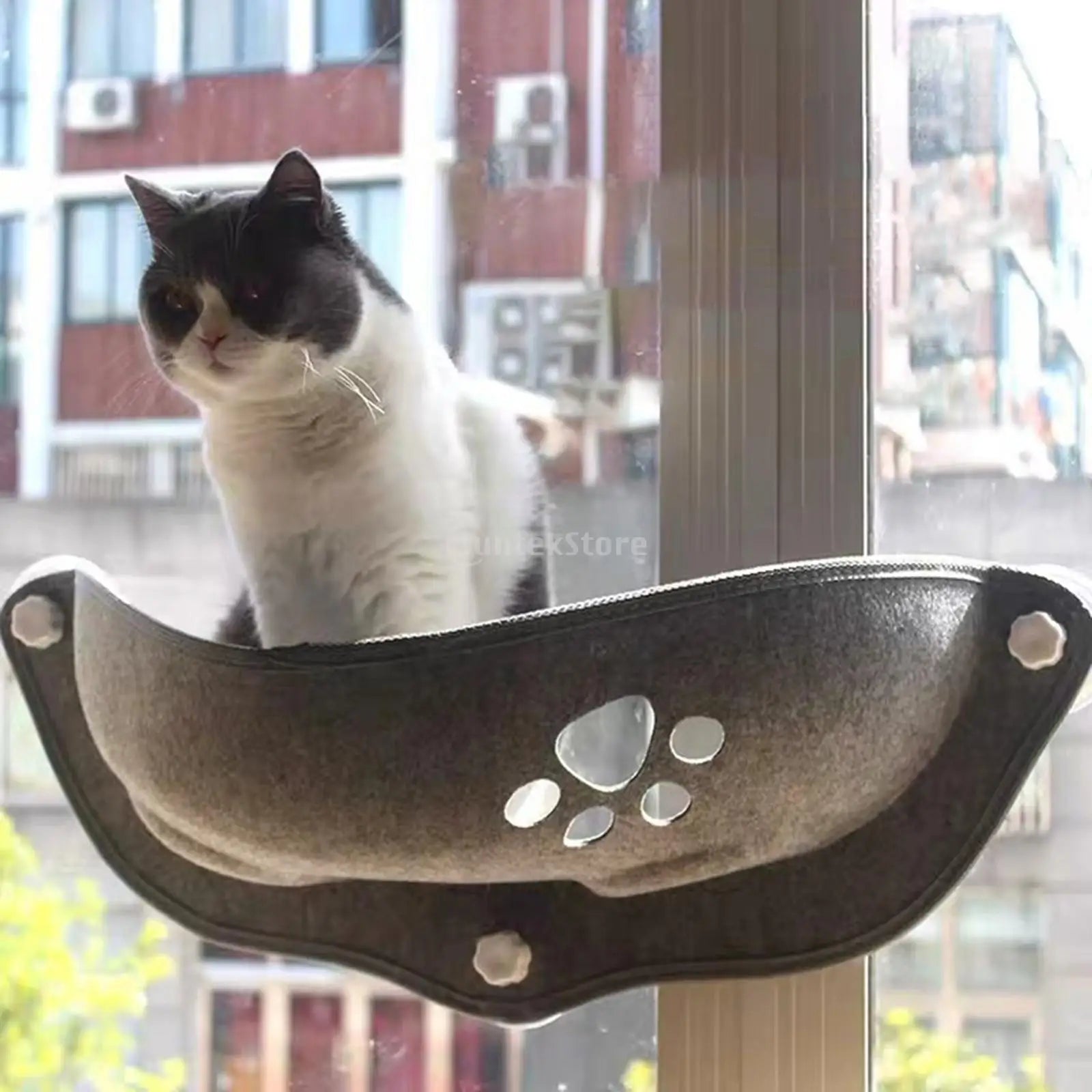 Cat Hammock Window Mounted Cars Bed Suction Cup Pet Perch Washable Pad