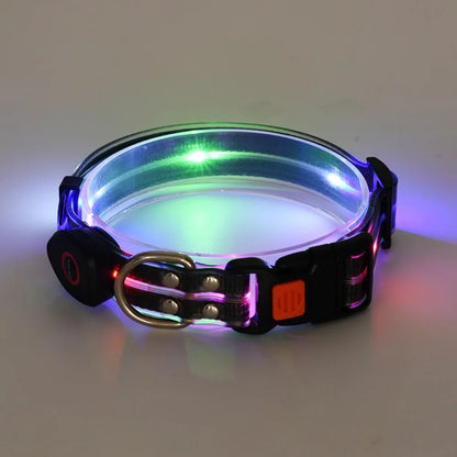 Rechargeable LED dog collar and leash set by I YAN with glow-in-the-dark safety features, shown in black with illuminated sections.