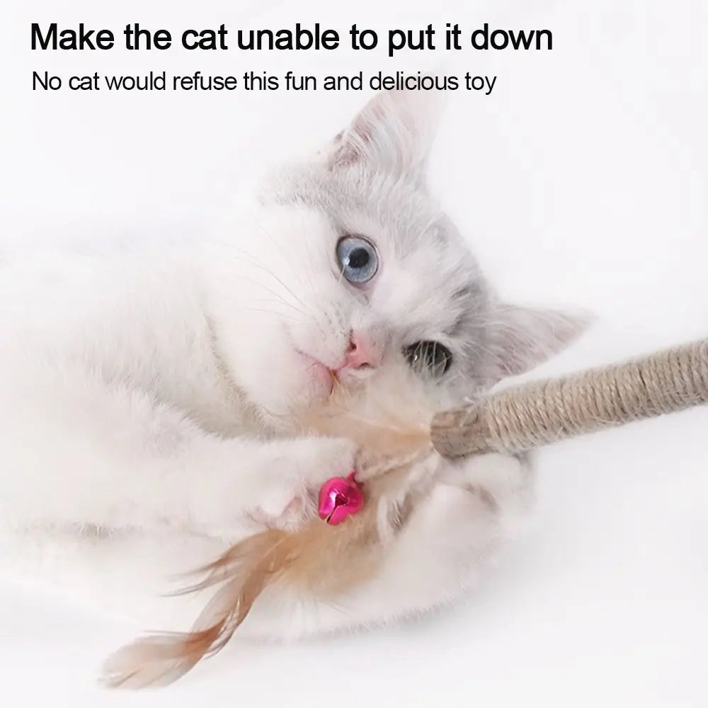 Cat  Silvervine Cat Nip Chew  Chew  Cat Wall  Silvervine Sticks Catnip  Wellness Cat Food Cat Chew Sticks