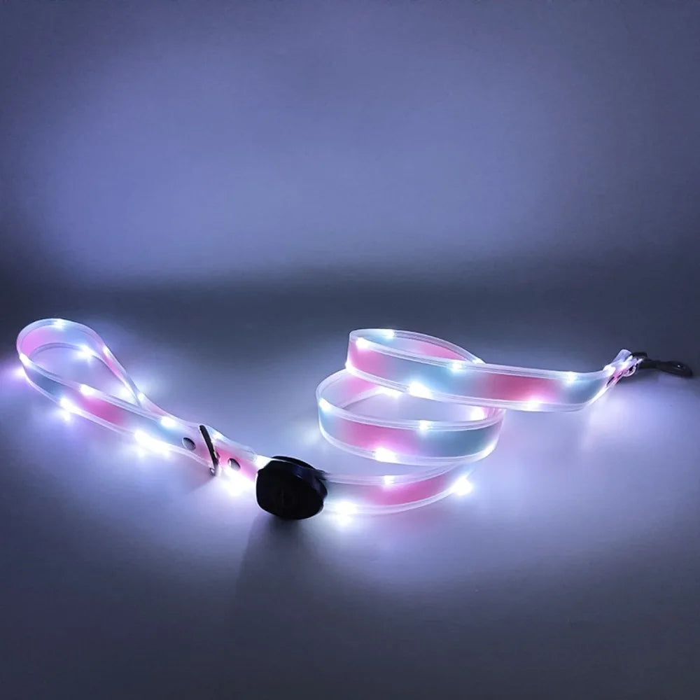 Rechargeable LED dog collar and leash set by I YAN with glow-in-the-dark safety features, visible in the image.