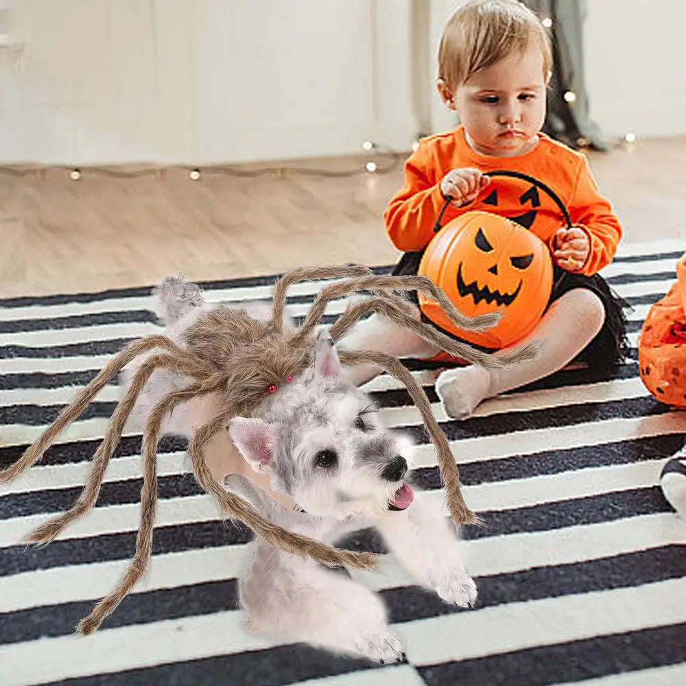 Halloween Spider Costume for Dogs & Cats – Funny Striped Pet Outfit