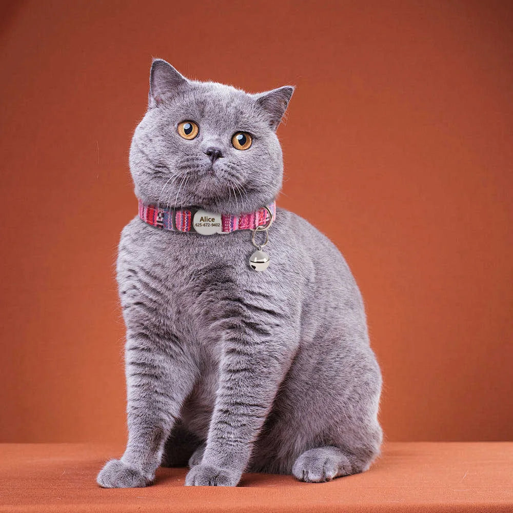 Cute Breakaway Personalized Kitten Cat Collar & Bell Safety Buckle Quick Release Custom Engraved Name ID Tag