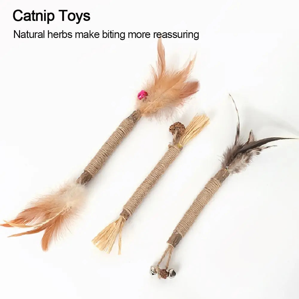 Cat  Silvervine Cat Nip Chew  Chew  Cat Wall  Silvervine Sticks Catnip  Wellness Cat Food Cat Chew Sticks