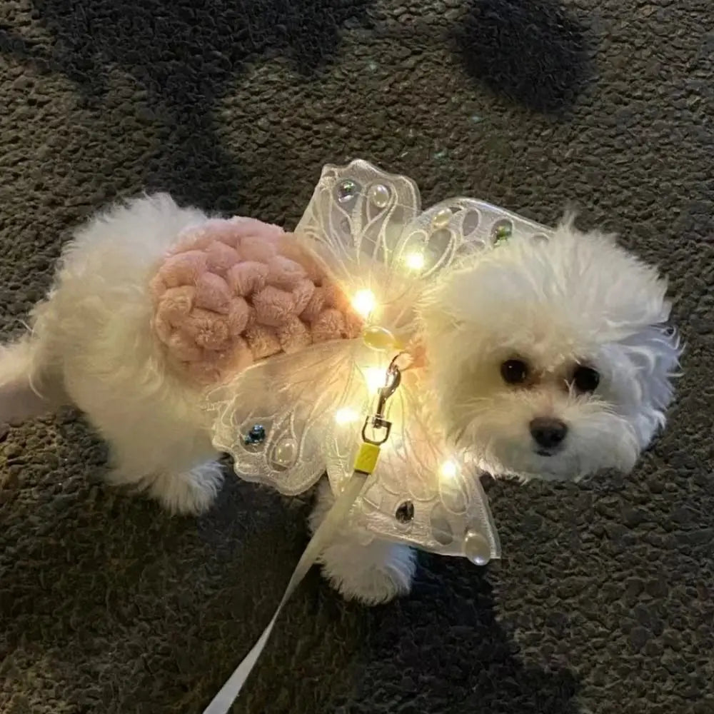 Dog and cat with butterfly wings pet costume by I YAN, featuring colorful butterfly wing back decoration for pets.