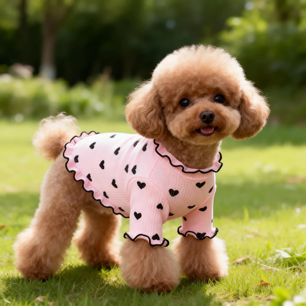 Pet T-shirt with stretch ribbed heart pattern, cute home vest for dogs and cats, by I YAN, shown on a small pet.